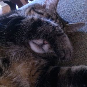 Meet your Posher, Lee